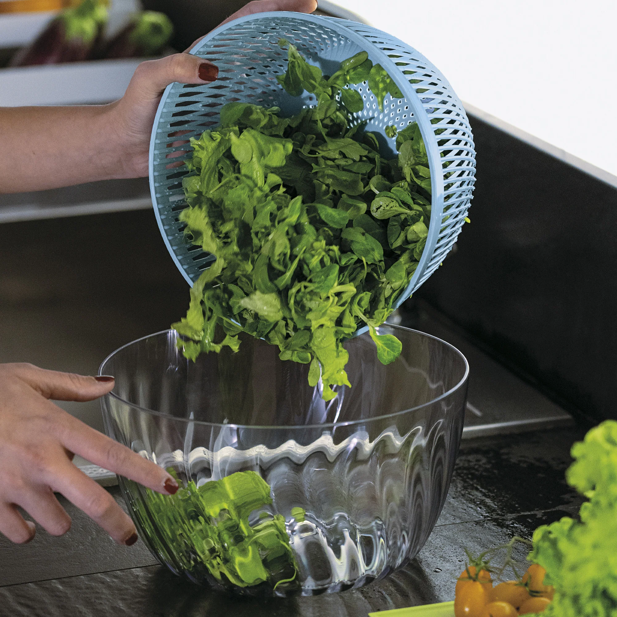 SALAD SPINNER WITH LID  Ø26CM 'SPIN&STORE' "PREPARATION" - Image 14