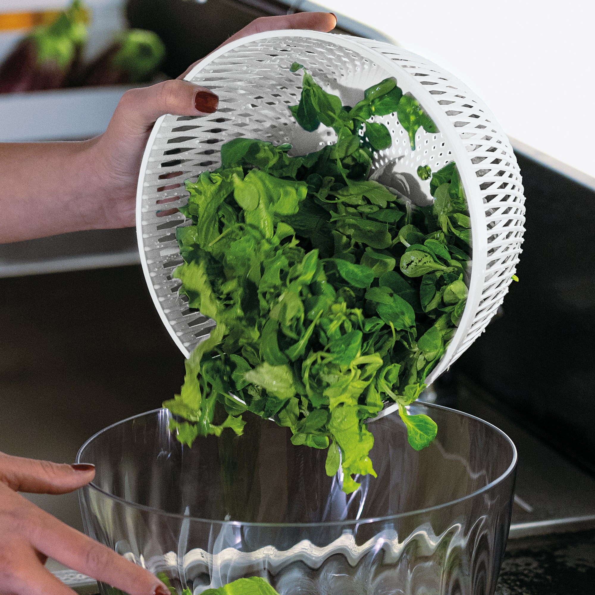 SALAD SPINNER WITH LID  Ø26CM 'SPIN&STORE' "PREPARATION" - Image 20