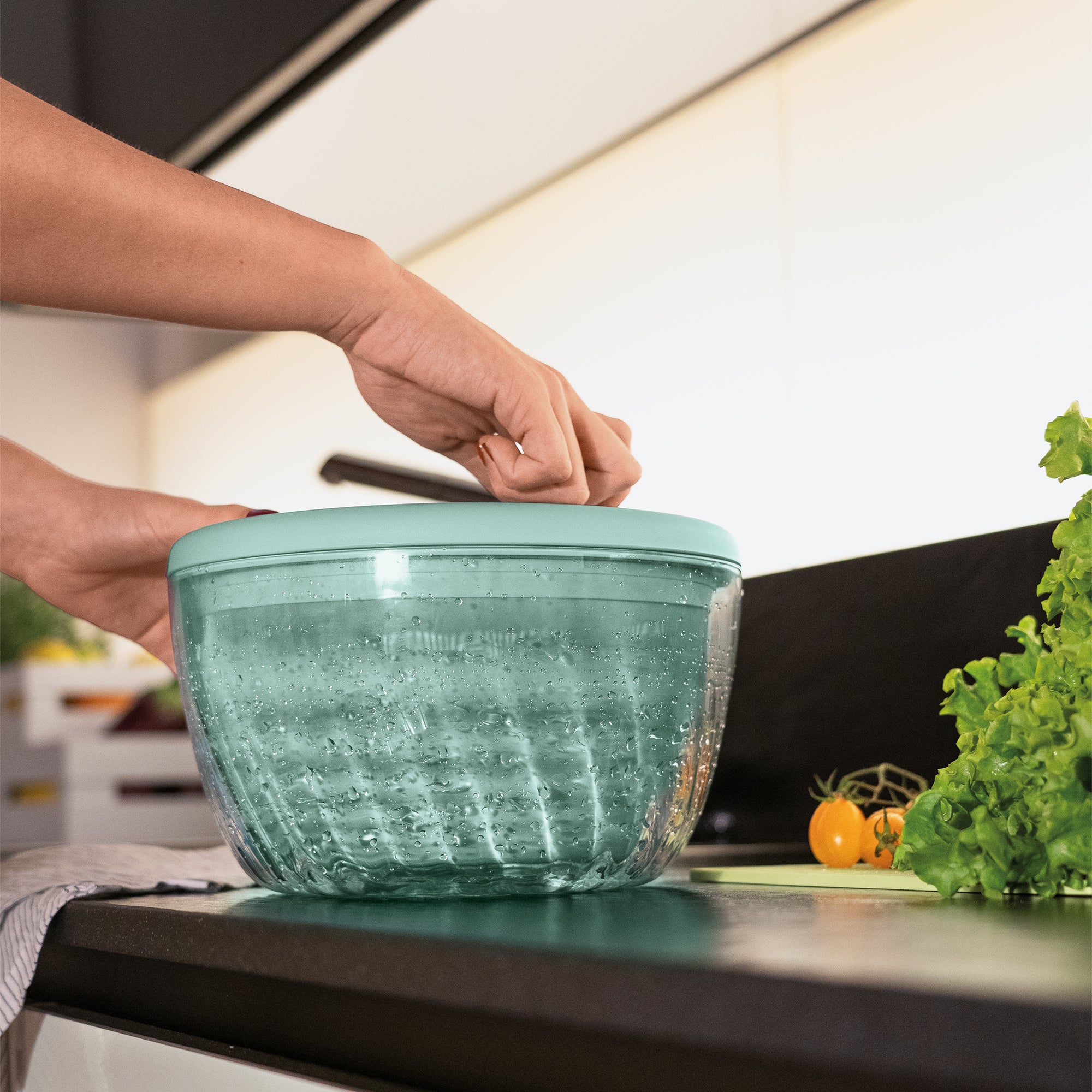 SALAD SPINNER WITH LID  Ø26CM 'SPIN&STORE' "PREPARATION" - Image 3