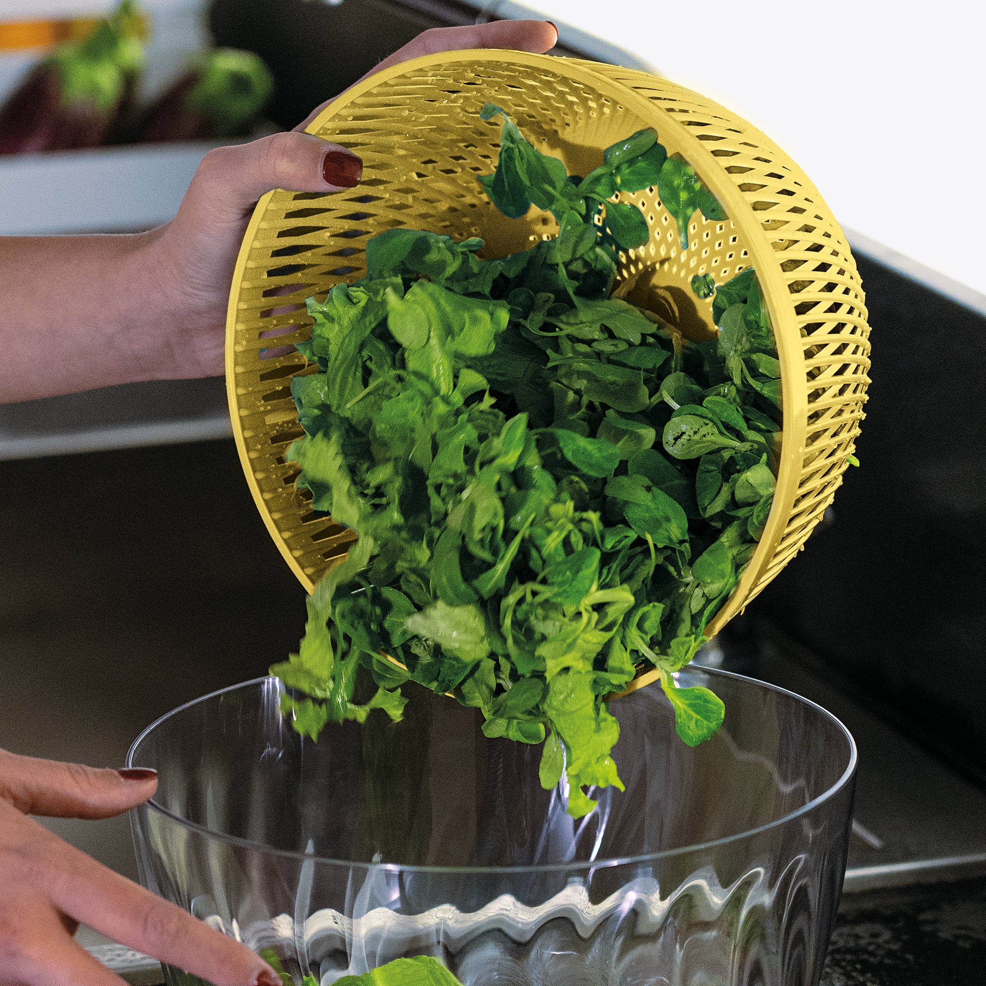 SALAD SPINNER WITH LID  Ø26CM 'SPIN&STORE' "PREPARATION" - Image 8