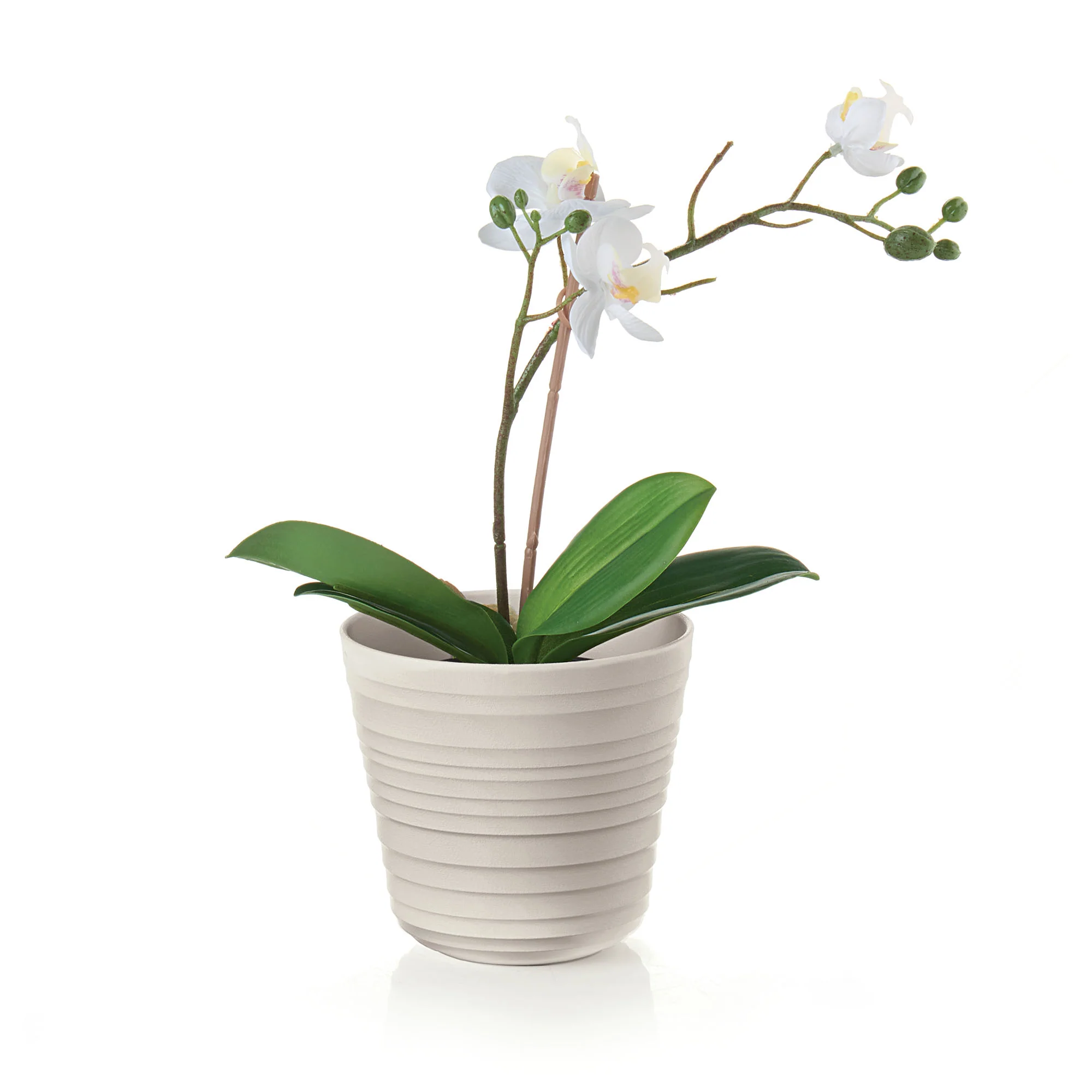SINGLE PLANT POT HOLDER "TIERRA" - Image 4